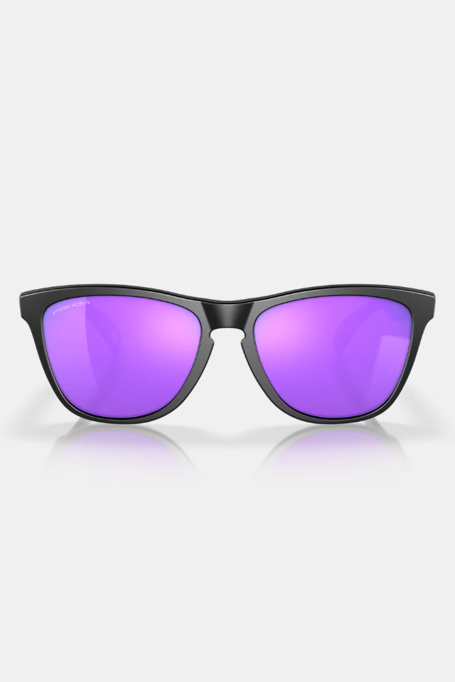 Oakley Frogskins Matte Black / Prizm Violet