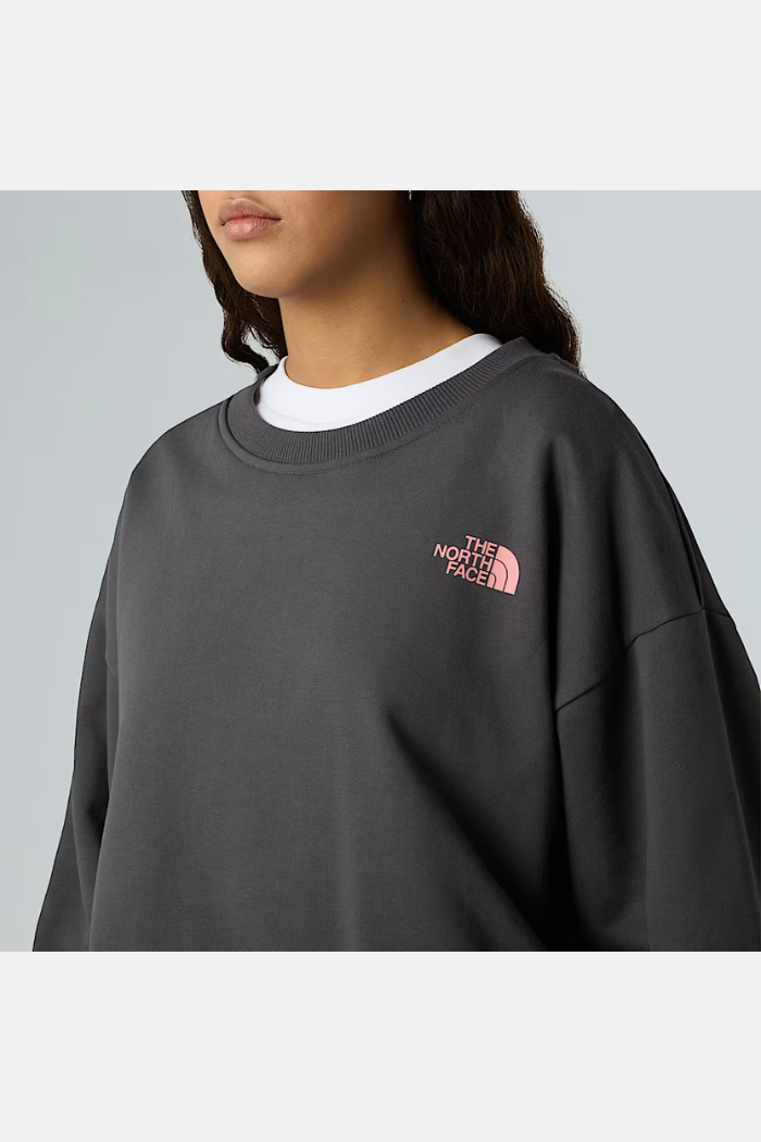The North Face Expedition Celebration Sudadera Cuello Redondo Anthracite Grey